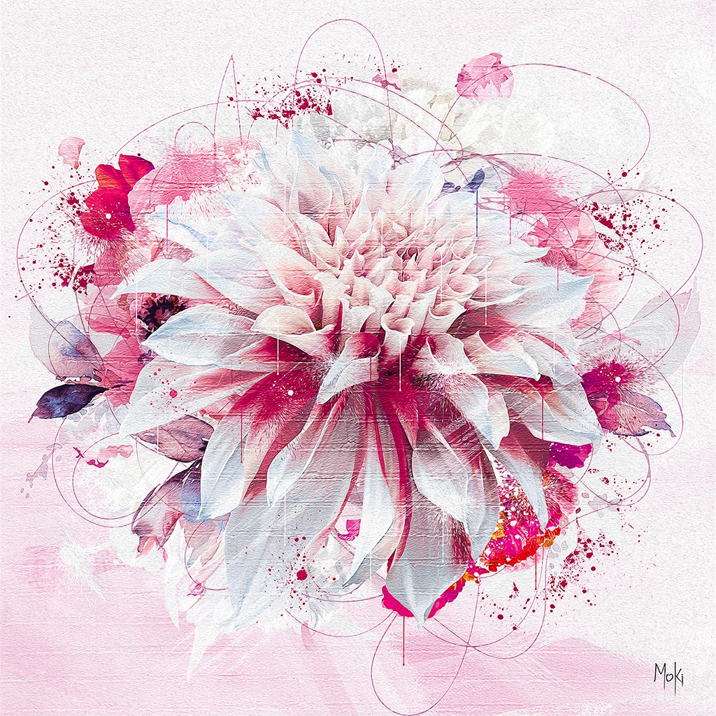 Moki, Flower Pop 2 (Blume, Blüte, Dahlie, Pflanze, Pop-Art, modern, Malerei,  Wohnzimmer, Treppenhaus, Wunschgröße, bunt)