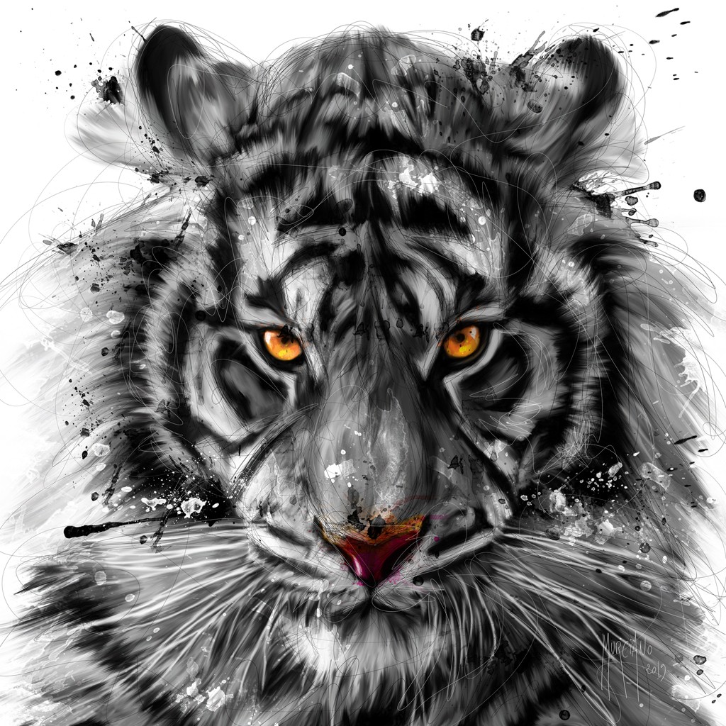 Patrice Murciano, White Tiger (Pop Art, Tiger, Raubkatze, Tierportrait, Modern, Malerei, Colorspot, Jugendzimmer, Wohnzimmer, Jugendzentrum, Wunschgröße, schwarz/weiß)