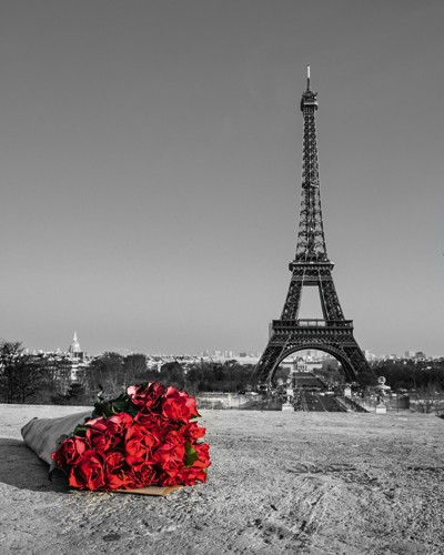 Assaf Frank, Love Story I (Wunschgröße, Fotokunst, Stadt, Paris, Eiffelturm,  rote Rosen, Rosenstrauß, Nostalgie, Idylle, Wahrzeichen, Panorama, Frankreich, Wohnzimmer, Arztpraxis, schwarz / weiß, rot,Colorspot)