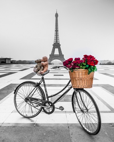 Assaf Frank, Emotion II (Wunschgröße, Fotokunst, Stadt, Paris, Eiffelturm, Fahrrad, Fahrradkorb, rote Rosen, Teddypaar, Kuss, Gefühl, romantisch, Nostalgie, Idylle, Wahrzeichen Frankreich, Wohnzimmer, Arztpraxis, schwarz / weiß, rot,Colorspot)
