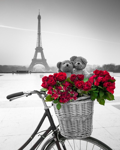 Assaf Frank, Teddy Rendez-vous (Wunschgröße, Fotokunst, Stadt, Paris, Eiffelturm, Fahrrad, Fahrradkorb, rote Rosen, Teddypaar, Umarmung, Liebe, Gefühl, romantisch, Nostalgie, Idylle, Wahrzeichen Frankreich, Wohnzimmer, Arztpraxis, schwarz / weiß, rot,Colorspot)