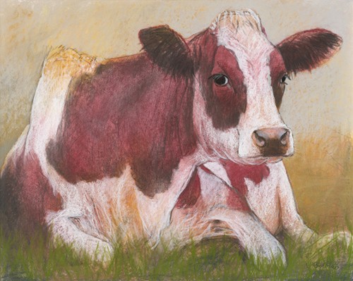 Loes Botman, Cow in the Summer (Wunschgröße, Malerei, Natur, liegende Kuh, Nutztier, Sommer, Portrait, Tier, Tierportrait, Schlafzimmer, Treppenhaus, Wohnzimmer, bunt)