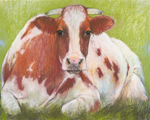 Loes Botman, Cow (Wunschgröße, Malerei, Natur, liegende Kuh, Nutztier,Braun-bunte, Portrait, Tier,  Tierportrait, Schlafzimmer, Treppenhaus, Wohnzimmer, bunt)