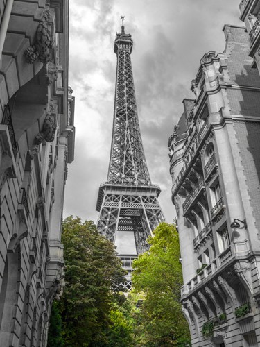 Assaf Frank, Paris my Love (Eiffelturm, Paris, Wahrzeichen, Architektur, Colourspot, Fotokunst, Wohnzimmer, Treppenhaus, Wunschgröße, schwarz/weiß/grün)