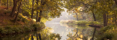 Assaf Frank, Silence I (Landschaft, Fluss, Bäume, Wald, Stille, Ruhe, Stimmung, Spiegelungen, Wohnzimmer, Treppenhaus, Wunschgröße, bunt)