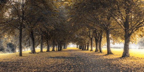 Assaf Frank, Silence II (Landschaft,Park, parkweg, Menschenleere, Stille, Ruhe, Stimmung, Spiegelungen, Wohnzimmer, Treppenhaus, Wunschgröße, bunt)