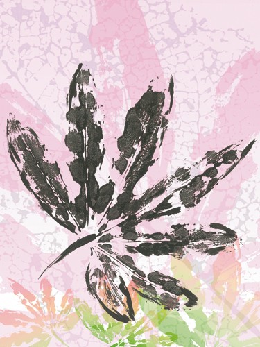 SARA Design, Leaf Study rose III (Pflanze, Blatt, Abdruck, dekorativ, floral, Schlafzimmer, Treppenhaus, Wohnzimmer, pastell, Druck, Grafik)
