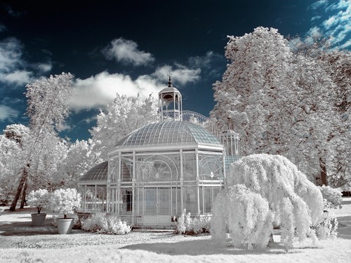 Tonee Gee, The Glass House by Eiffel, Gradignan (Park, Winter, Pavillon, Winter, Eis, Schnee, verträumt, Fotokunst, Wunschgröße, Wohnzimmer, blau/weiß)