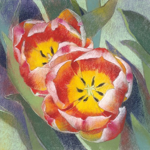 Loes Botman, Blumen 1 (Tulpen, Blütenblätter, Blüten, Botanik, Pflanze, Esszimmer, Wohnzimmer, Treppenhaus, Wunschgröße, Malerei, bunt)