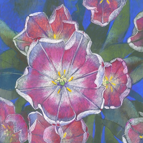 Loes Botman, Blumen 3 (Tulpen, Blütenblätter, Blüten, Botanik, Pflanze, Esszimmer, Wohnzimmer, Treppenhaus, Wunschgröße, Malerei, bunt)