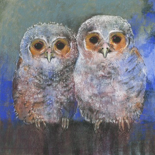 Loes Botman, Waldkäuze (Käuzchen, Greifvögel, Nachtjäger, Raubvogel, niedlich, Vogel, Tiere, Wohnzimmer, Treppenhaus, Wunschgröße, Malerei, bunt)