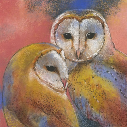 Loes Botman, Schleiereulen (Eule, Greifvögel, Nachtjäger, Raubvogel, Vogel, Tiere, Wohnzimmer, Treppenhaus, Wunschgröße, Malerei, bunt)