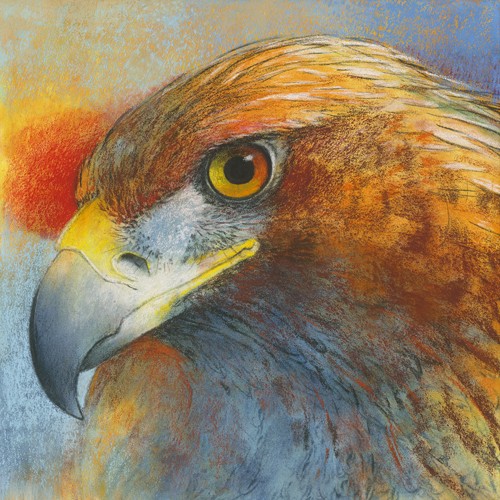 Loes Botman, Bussard (Bussard, Tierportrait,  Greifvögel, Nachtjäger, Raubvogel, Schnabel, Vogel, Tiere, Wohnzimmer, Treppenhaus, Wunschgröße, Malerei, bunt)