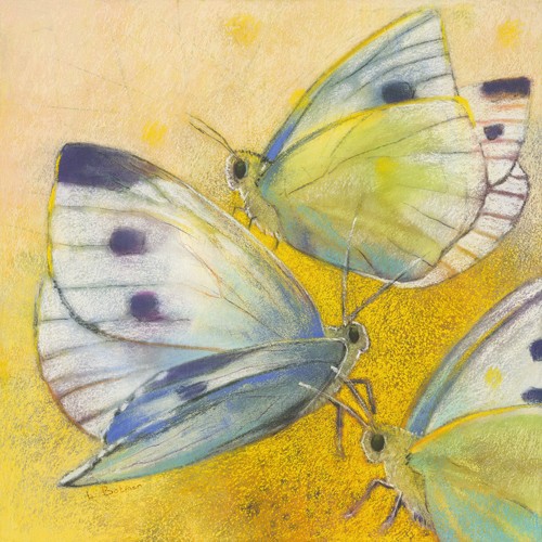 Loes Botman, Schmetterlinge (Schmetterlinge, Insekten, zart, filigran, Tiere, Wohnzimmer, Treppenhaus, Schlafzimmer, Wunschgröße, Malerei, bunt)