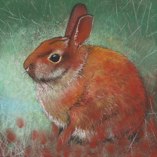 Loes Botman, Kaninchen (Kaninchen, niedlich, flauschig, putzig, Tiere, Wohnzimmer, Treppenhaus, Wunschgröße, Malerei, bunt)