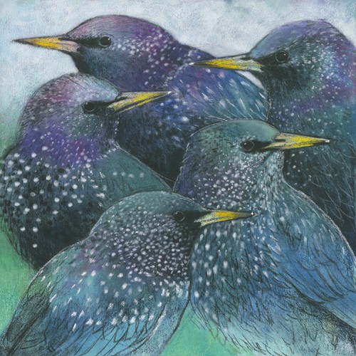 Loes Botman, Stare (Stare, Gruppe, Vogel, Tiere,  Ornithologie, Wohnzimmer, Treppenhaus, Wunschgröße, Malerei, bunt)