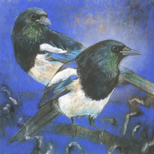 Loes Botman, Elstern (Elstern, Räuber, diebisch,  Gruppe, Vogel, Tiere, Ornithologie,  Wohnzimmer, Treppenhaus, Wunschgröße, Malerei, bunt)