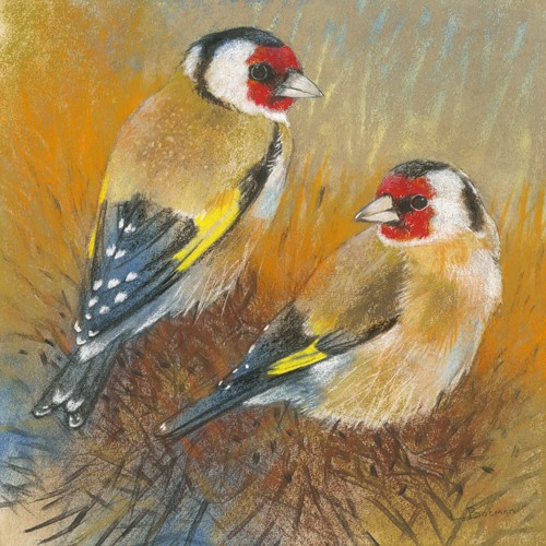 Loes Botman, Distelfinken (Finken, Distelfinken, niedlich, putzig, aufmerksam, Vogel, Tiere, Ornithologie, Wohnzimmer, Treppenhaus, Wunschgröße, Malerei, bunt)