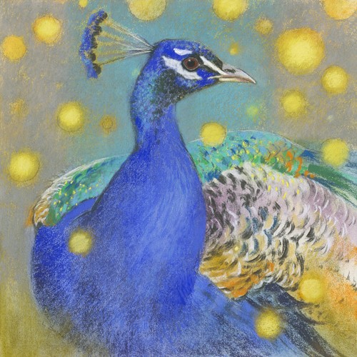 Loes Botman, Pfau (Pfau, Hühnervogel, stolz,  aufmerksam, Vogel, Tiere, Ornithologie, Wohnzimmer, Treppenhaus, Wunschgröße, Malerei, bunt)