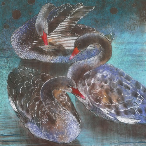 Loes Botman, Schwarze Schwäne (Schwan, Wasservögel, schwarze Schwäne, Schwanenhals, aufmerksam, Vogel, Tiere, Ornithologie, Wohnzimmer, Treppenhaus, Wunschgröße, Malerei, bunt)