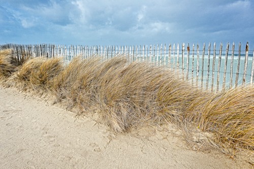 Georges-Félix Cohen, La barrière II (Meeresbrise, Dünen, Landschaft, Meer, Ruhe, Weite, Strand, Sand, Horizont, Urlaub, Erholung, Badezimmer, Treppenhaus, Arztpraxis, Wunschgröße, Fotografie, bunt)