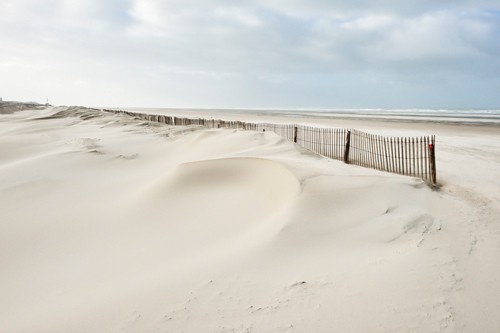 Georges-Félix Cohen, La barrière III (Meeresbrise, Dünen, Landschaft, Meer, Ruhe, Weite, Strand, Sand, Horizont, Urlaub, Erholung, Badezimmer, Treppenhaus, Arztpraxis, Wunschgröße, Fotografie, bunt)