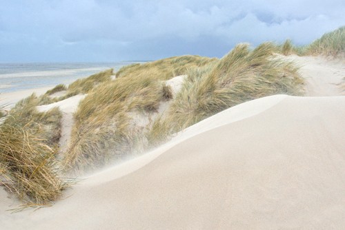 Georges-Félix Cohen, Dunes (Meeresbrise, Dünen, Landschaft, Meer, Ruhe, Weite, Strand, Sand, Urlaub, Erholung, Badezimmer, Treppenhaus, Arztpraxis, Wunschgröße, Fotografie, bunt)