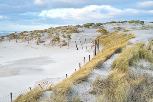 Georges-Félix Cohen, Les dunes I (Meeresbrise, Dünen, Landschaft, Meer, Ruhe, Weite, Strand, Sand, Urlaub, Erholung, Badezimmer, Treppenhaus, Arztpraxis, Wunschgröße, Fotografie, bunt)