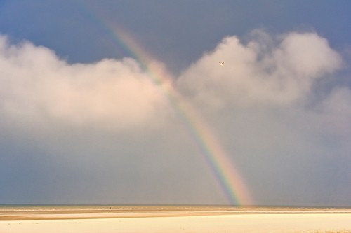 Georges-Félix Cohen, Rainbow (Meeresbrise, Meer, Ruhe, Weite, Strand, Sand, Horizont, Urlaub, Erholung, Regenbogen, Badezimmer, Treppenhaus, Arztpraxis, Wunschgröße, Fotografie, bunt)