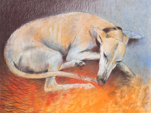 Loes Botman, Dog resting (Hund, Jagshund, schlafender Hund, Haustier, Tiere, Wohnzimmer, Treppenhaus, Wunschgröße, Malerei, bunt)