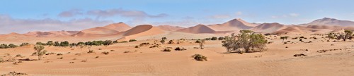 Peter Hillert, Sossusvlei Desert Namib (Wüste, Sand, Sanddünen, heiß, verdorrt, trocken, Bäume, Namib, Afrika, Landschaften, Fotokunst, Wohnzimmer, Wunschgröße, bunt)