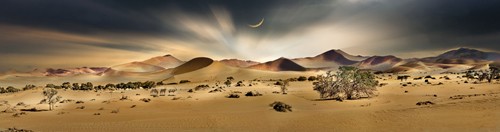 Peter Hillert, Namib Sandsea II (Wüste, Sand, Sanddünen, heiß,  trocken, Namib, Landschaften,  Afrika, Fotokunst, Wohnzimmer, Wunschgröße, bunt)