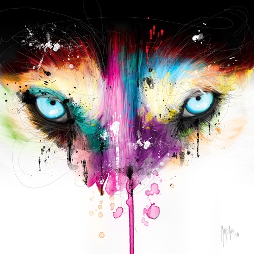 Patrice Murciano, Across my Look (Pop Art, Wolf, Wolfsaugen, Tier, Tierportrait, Leuchtfarben, Neon, Schrill, Modern, Malerei, Jugendzimmer, Wohnzimmer, Jugendzentrum, Wunschgröße, bunt)