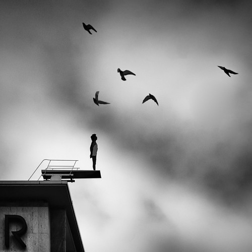 Oliver Stein, Dystopia (grauer Himmel, Vögel, Frau, Dach, Sprungbrett, negativ, Wunschgröße, Fotografie, schwarz/weiß)