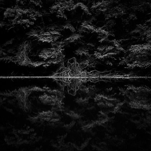 Oliver Stein, Necropolis (See, Bäume, düster, Wald, Spiegelungen, Äste, Melancholie, Wunschgröße, Fotografie, schwarz/weiß)