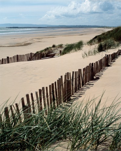 Gill Copeland, Drifting Sands (Strand, Sand, Sandstrand, Düne, Dünengras, Meer, Meeresbrise, Horizont, Treppenhaus, Wohnzimmer, Badezimmer, Fotografie, Wunschgröße, bunt)