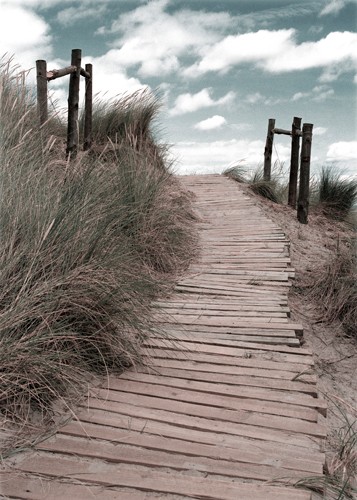 Gill Copeland, Follow your Heart (Strand, Düne, Dünengras, Holzweg, Meeresbrise, Horizont, Treppenhaus, Wohnzimmer, Badezimmer, Fotografie, Wunschgröße, bunt)