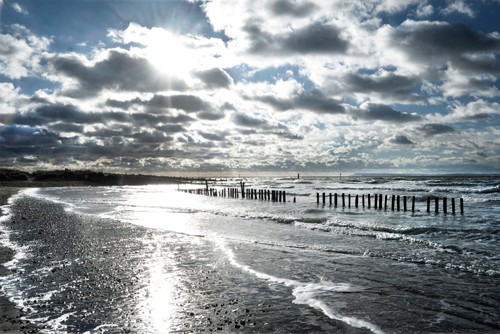 Gill Copeland, Glistening Shoreline (Strand, Sand, Sandstrand, Wellen, Glanz, Sonnenlicht, Meer, Meeresbrise, Horizont, Treppenhaus, Wohnzimmer, Badezimmer, Fotografie, Wunschgröße, bunt)