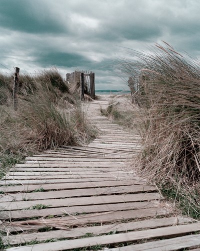 Gill Copeland, Listen to your Dreams (Strand, Düne, Dünengras, Holzweg, Meeresbrise, Horizont, Treppenhaus, Wohnzimmer, Badezimmer, Fotografie, Wunschgröße, bunt)
