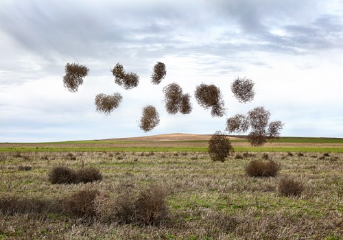 Miguel Vallinas Prieto, Pause Número II (Landschaft, Ebene, tumbleweed, Wind, schweben, Fantasy, surreal, Wunschgröße, Fotokunst, Wohnzimmer, Treppenhaus, bunt)