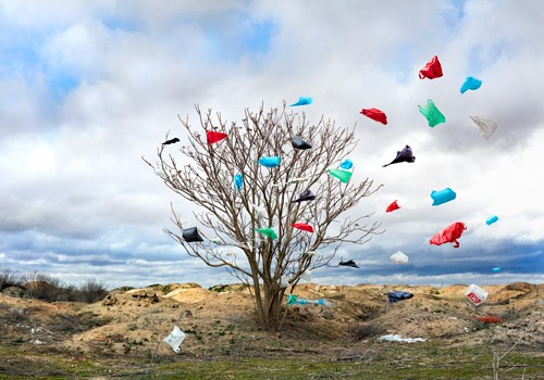 Miguel Vallinas Prieto, Pause Número V (Landschaft, Baum, Wind, Strurm, Plastiktüten Tüten, flattern, schweben, Fantasy, surreal, Wunschgröße, Fotokunst, Wohnzimmer, Treppenhaus, bunt)