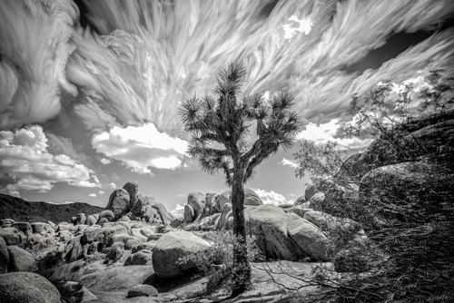 Ryan Hartson-Weddle, Three Hour Wind (Landschaft, Baum, Steine, Felsen, Wolken, Winde, Fotokunst, Wunschgröße, Wohnzimmer, Treppenhaus, schwarz/weiß)
