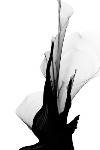 Irena Orlov, Black and White Modern Minimal 26 (Schleier, Wind, Lufthauch, Leichtigkeit, Schweben, zarte Bewegung, Textur, Dynamik, abstakt, Fotokunst, Wohnzimmer, Büro, Wunschgröße,schwarz/weiß)