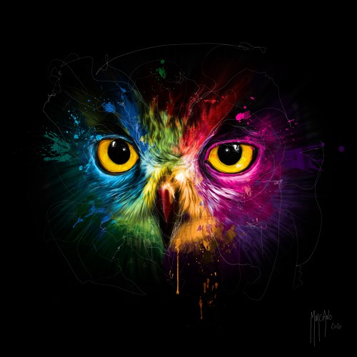 Patrice Murciano, POP Owl (Eule, Tierportrait, Greifvogel, Pop Art, Leuchtfarben, Neon, Schrill, Modern, Malerei, Jugendzimmer, Wohnzimmer, Jugendzentrum, Wunschgröße, bunt)