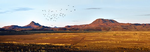 Peter Hillert, Damaraland (Namibia, Afrika, Landschaft, Panorama, Fotografie, Wohnzimmer, Treppenhaus, Wunschgröße, bunt)