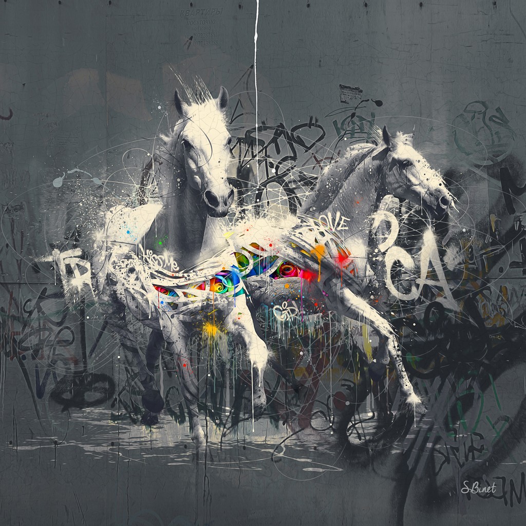 Sylvain Binet, Chevaux Pop (Pferde, Schimmel, Tiere, abstrakter Hintergrund, Colourspot, Leuchtfarben, Neon,  Modern, Malerei, Jugendzimmer, Wohnzimmer, Wunschgröße, Popart, schwarz/weiß, bunt)