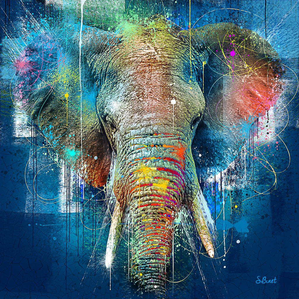 Sylvain Binet, Eléphant bleu (Elefant, Tierportrait, Rüssel, Stoßzähne, Großwild, Popart, Modern, Malerei, Jugendzimmer, Wohnzimmer, Wunschgröße, bunt)