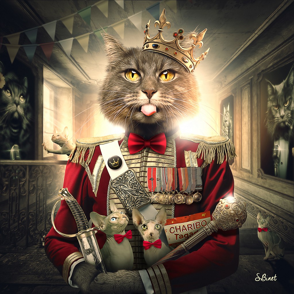 Sylvain Binet, Chat Royal (Katze, Krone, König, Uniform, Vermenschlichung, antropomorph,   Modern, Malerei, Jugendzimmer, Wohnzimmer, Wunschgröße, bunt)