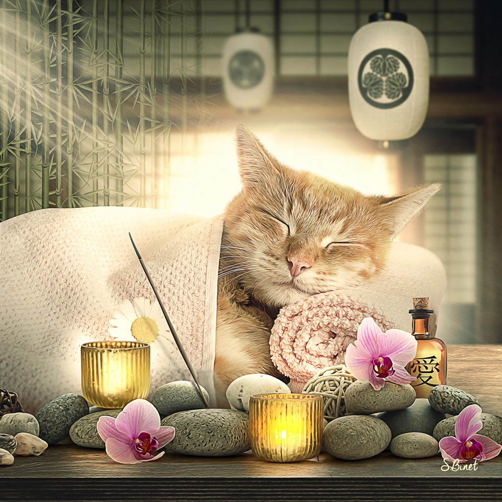 Sylvain Binet, Chat Zen (Katze, Entspannung, Zen, Wellness, Vermenschlichung, Tierportrait, antropomorph, Modern, Malerei, Jugendzimmer, Wohnzimmer, Badezimmer, Wunschgröße,)