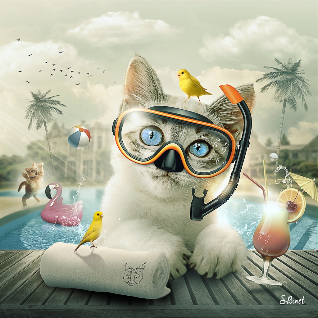 Sylvain Binet, Cat piscine (Katze, Vermenschlichung, Taucherbrille, Pool, Drink, Urlaub, Spaß, antropomorph,  Modern, Malerei, Jugendzimmer, Wohnzimmer, Wunschgröße, bunt)